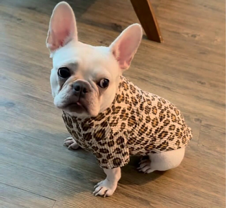 Leopard Doggie Bodysuit