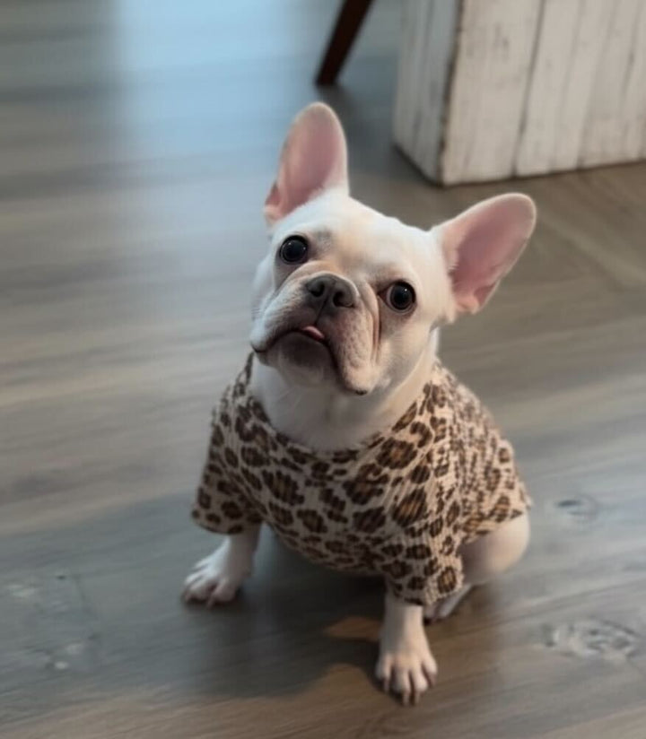 Leopard Doggie Bodysuit